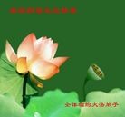 Published on 1/1/2012 ֹ,½󷨵ӹףʦԪ֣ģ - ִ
