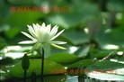 Published on 2/4/2011 ֹ,½󷨵ӹףʦ֣ʮģ245أ - ִ
