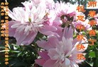 Published on 9/12/2011 ֹ,½󷨵ӹףʦ֣137 - ִ
