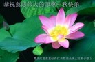 Published on 9/12/2011 ֹ,½ҵ󷨵ӹףʦ - ִ
