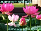 Published on 9/12/2011 ֹ,½󷨵ӹףʦ֣133 - ִ
