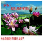 Published on 9/12/2011 ֹ,½󷨵ӹףʦ֣104 - ִ
