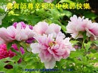 Published on 9/12/2011 ֹ,½ҵ󷨵ӹףʦ - ִ
