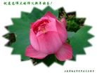 Published on 1/24/2012 ֹ,½󷨵ӹףʦã176 - ִ
