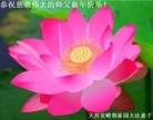 Published on 1/1/2013 ֹ,½󷨵ӹףʦԪ֣110
