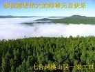 ֹ,󷨵ӹףʦ֣138
