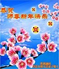 Published on 1/1/2013 ֹ,йҵ󷨵ӹףʦԪ
