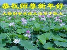 Published on 1/1/2013 ֹ,йҵ󷨵ӹףʦԪ
