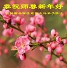Published on 1/1/2013 ֹ,йҵ󷨵ӹףʦԪ
