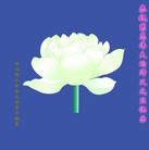 Published on 1/1/2013 ֹ,½󷨵ӹףʦԪ֣114
