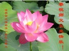 Published on 1/1/2013 ֹ,½󷨵ӹףʦԪ֣114
