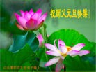 Published on 1/1/2013 ֹ,½󷨵ӹףʦԪ֣114
