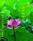 Published on 1/1/2013 ֹ,йҵ󷨵ӹףʦԪ
