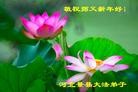 Published on 1/1/2013 ֹ,½󷨵ӹףʦԪ֣110
