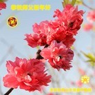 Published on 1/1/2013 ֹ,½󷨵ӹףʦԪ֣110
