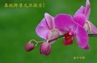 Published on 1/1/2013 ֹ,½󷨵ӹףʦԪ֣133
