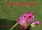 Published on 1/1/2013 ֹ,½󷨵ӹףʦԪ֣133
