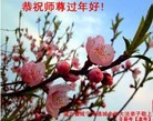 Published on 1/1/2013 ֹ,½󷨵ӹףʦԪ֣99
