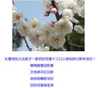 Published on 1/1/2013 ֹ,½󷨵ӹףʦԪ֣163
