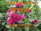 Published on 1/1/2013 ֹ,ϵͳ󷨵ӹףʦ
