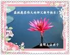 Published on 1/1/2013 ֹ,½󷨵ӹףʦԪ֣163
