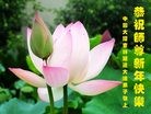Published on 1/1/2013 ֹ,½󷨵ӹףʦԪ֣99

