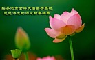 Published on 1/1/2013 ֹ,½󷨵ӹףʦԪ֣133
