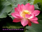 Published on 1/1/2013 ֹ,½󷨵ӹףʦԪ֣133
