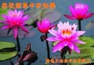 Published on 9/30/2012 ֹ,½󷨵ӹףʦ֣96
