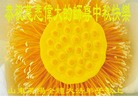 Published on 9/30/2012 ֹ,½󷨵ӹףʦ֣96
