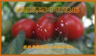 Published on 9/30/2012 ֹ,½󷨵ӹףʦ֣96
