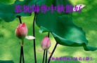 Published on 9/30/2012 ֹ,½󷨵ӹףʦ֣96
