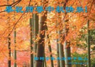 Published on 9/30/2012 ֹ,½󷨵ӹףʦ֣96
