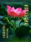 ֹ,󷨵ӹףʦã155
