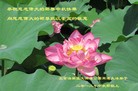 Published on 9/30/2012 ֹ,½󷨵ӹףʦ֣100
