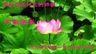 Published on 9/30/2012 ֹ,½󷨵ʺʦã126
