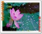 Published on 9/30/2012 ֹ,½󷨵ʺʦã112
