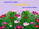Published on 9/30/2012 ֹ,½󷨵ӹףʦ֣137
