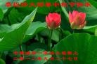Published on 9/30/2012 ֹ,й½ҵ󷨵ӹףʦ
