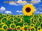 Published on 9/30/2012 ֹ,½󷨵ʺʦã126
