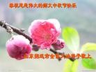 Published on 9/30/2012 ֹ,½󷨵ʺʦã126
