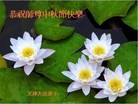 Published on 9/30/2012 ֹ,½󷨵ӹףʦ֣137

