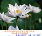 Published on 9/30/2012 ֹ,½󷨵ʺʦã112
