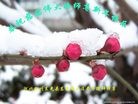Published on 1/1/2013 ֹ,½󷨵ӹףʦԪ֣124
