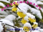 Published on 1/1/2013 ֹ,½󷨵ӹףʦԪ֣124
