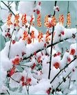 Published on 1/1/2013 ֹ,½󷨵ӹףʦԪ֣124

