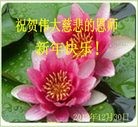 Published on 1/1/2013 ֹ,½󷨵ӹףʦԪ֣124
