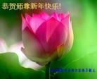 Published on 1/2/2013 ֹ,½󷨵ӹףʦԪ֣60
