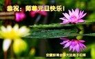 Published on 1/2/2013 ֹ,½󷨵ӹףʦԪ֣60
