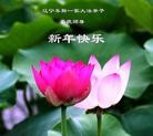Published on 1/2/2013 ֹ,½󷨵ӹףʦԪ֣60

